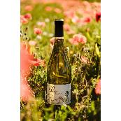 LILI BIO - CHARDONNAY - IGP PAYS D’OC