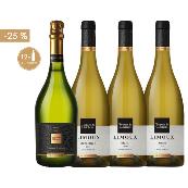 SELECTION "TOQUES ET CLOCHERS" - 2 CARTONS AU CHOIX à -25%