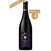 EXCLU WEB: VENDANGES DE NUIT MERLOT : 9 achetées + 3 OFFERTES